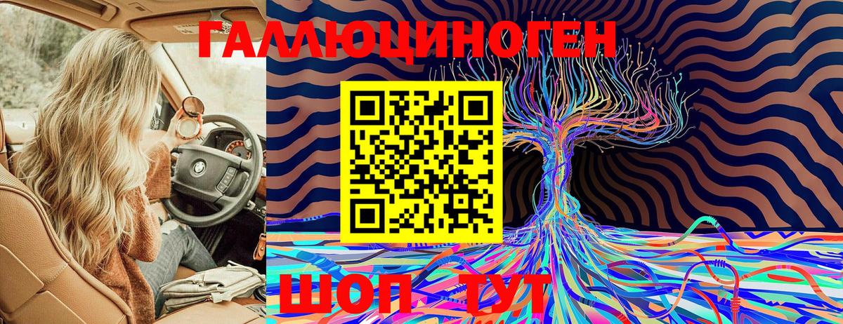 Галлюциногенные грибы Cubensis  хочу   Великие Луки  Вход с VPN 